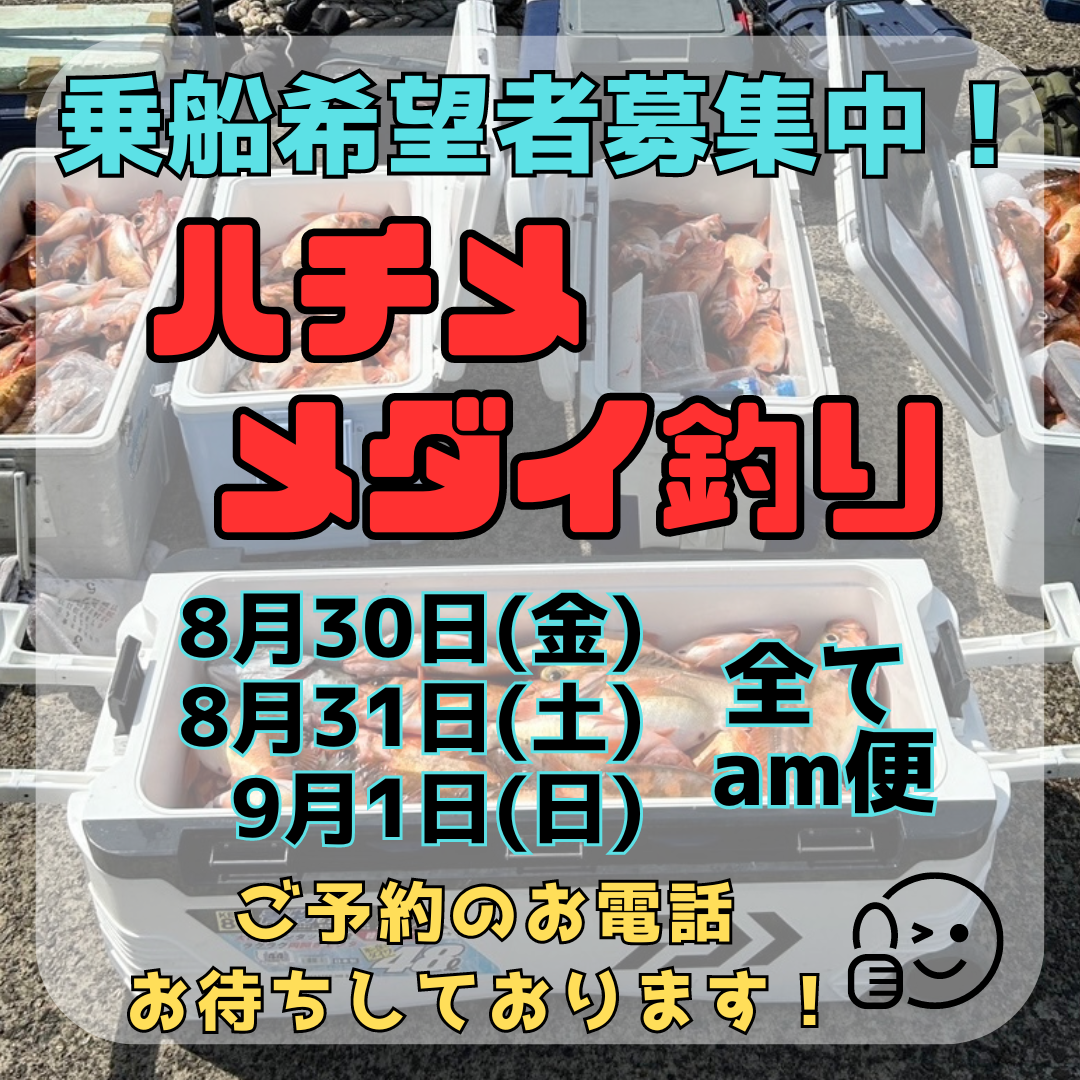 ハチメ釣りとお知らせ