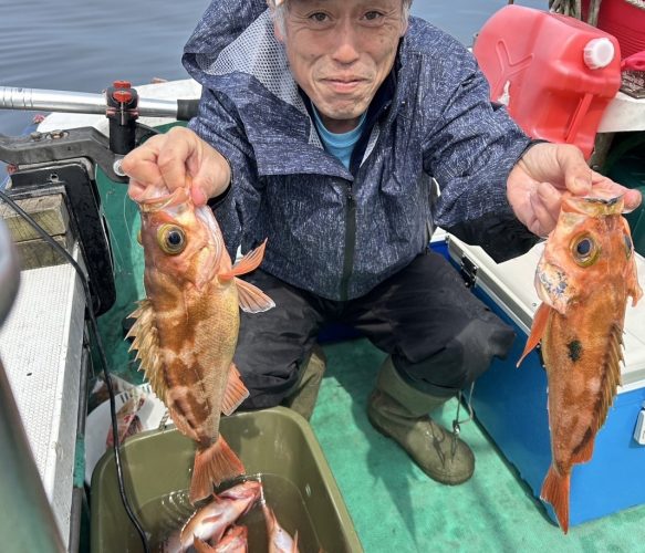 ハチメ