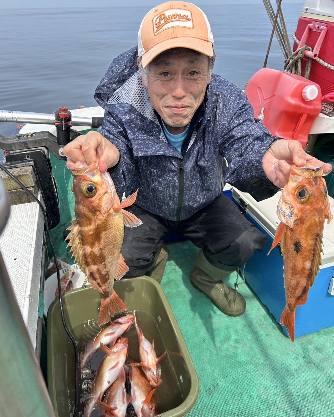 ハチメ