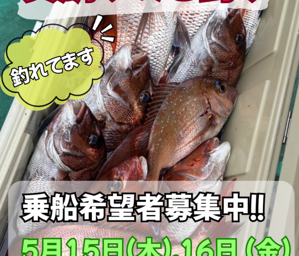 乗船希望者募集中