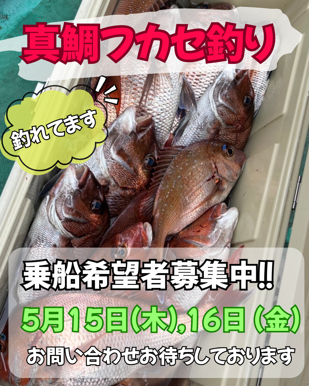 乗船希望者募集中