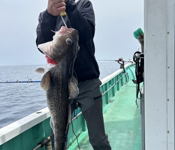 泳がせ釣り