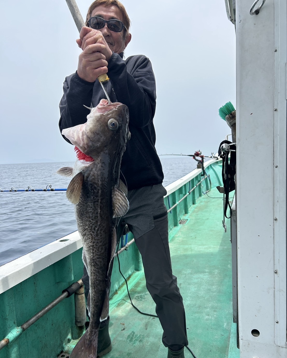 泳がせ釣り
