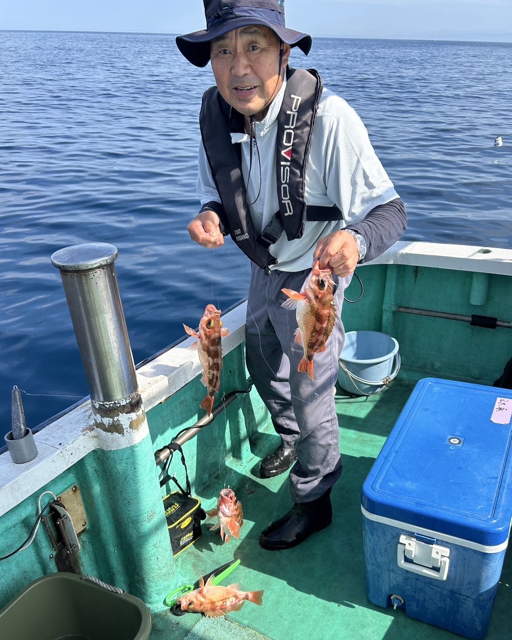 ハチメ釣り