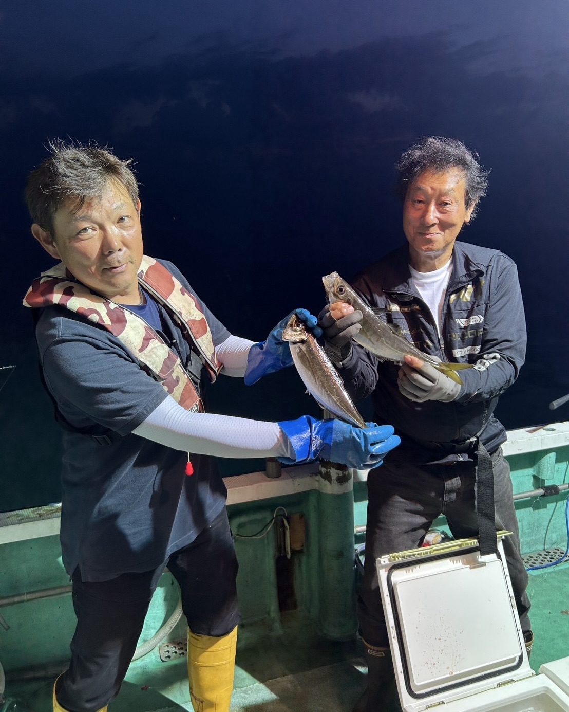 アカイカ、アジ釣り