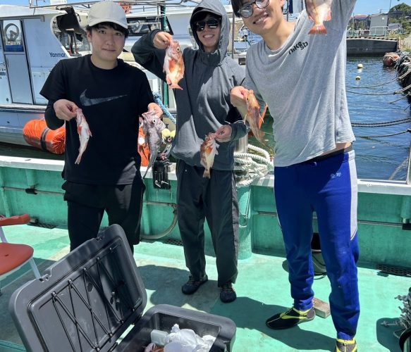 ハチメ釣り