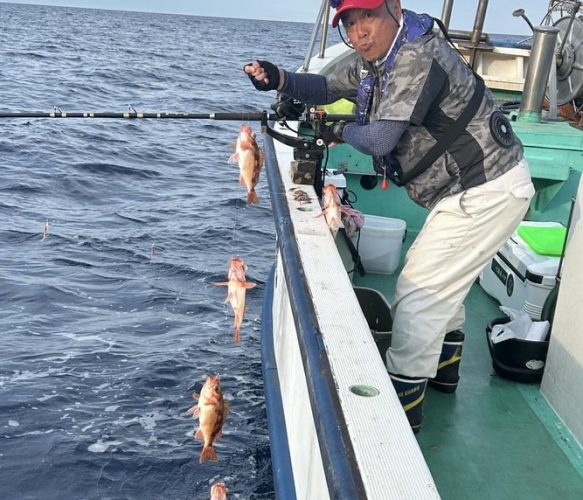 ハチメ釣り