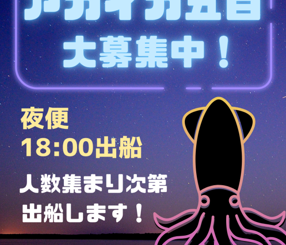 大募集中！