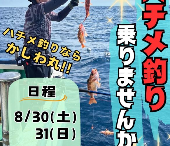 ハチメ釣り募集中‼️