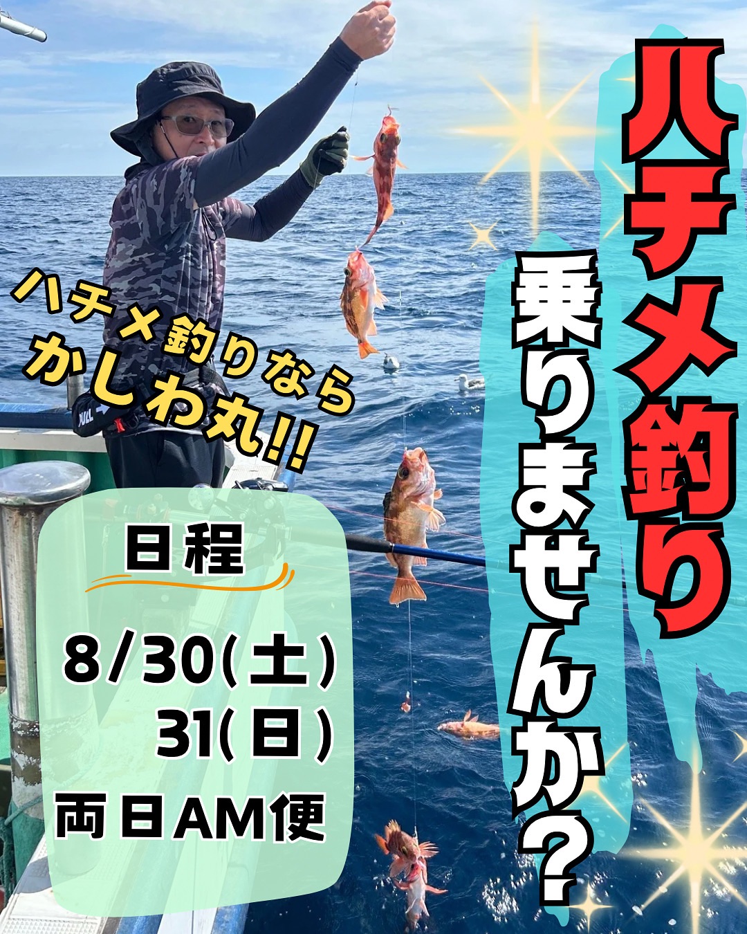 ハチメ釣り募集中‼️