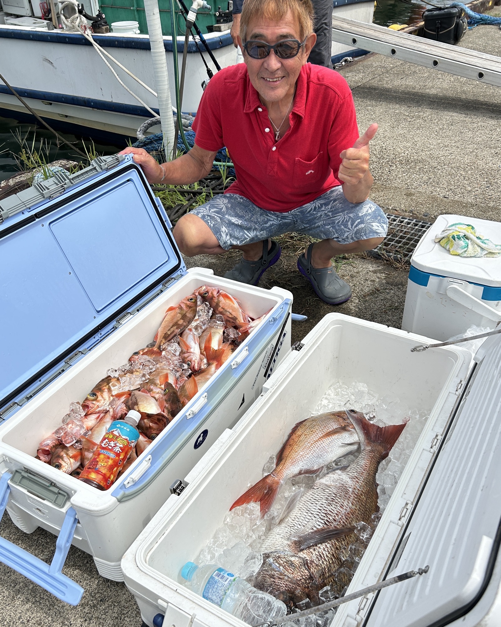 ハチメ、メダイ釣り