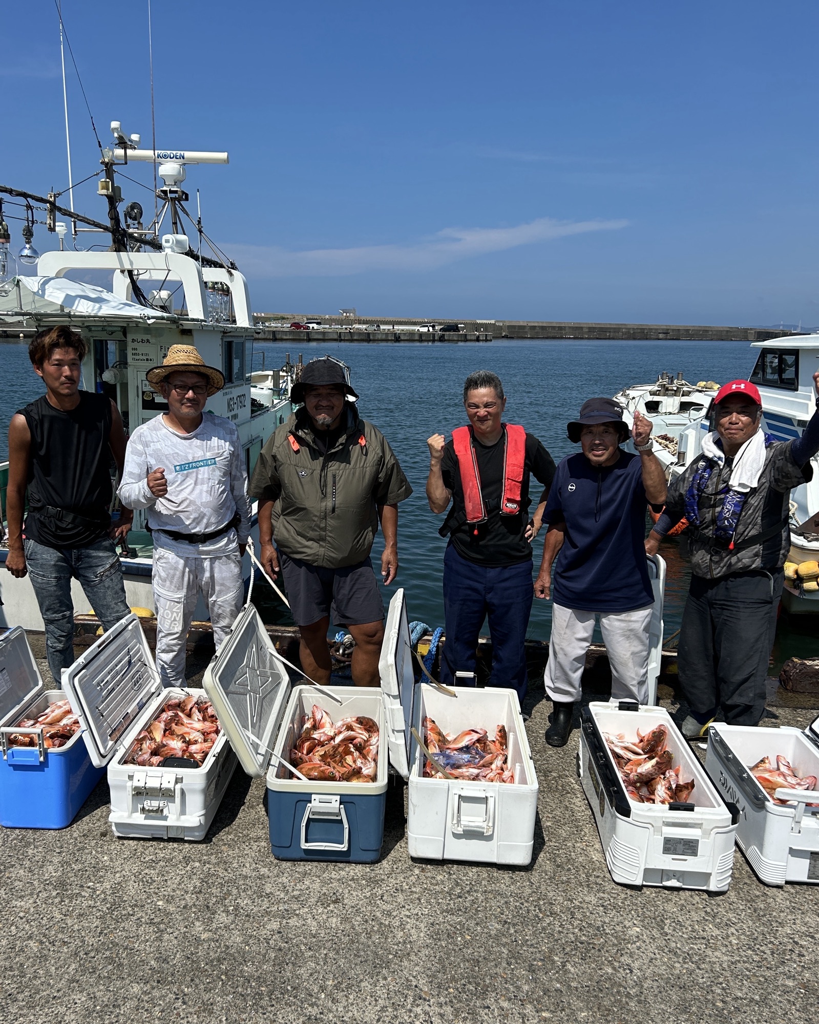 ハチメ釣り