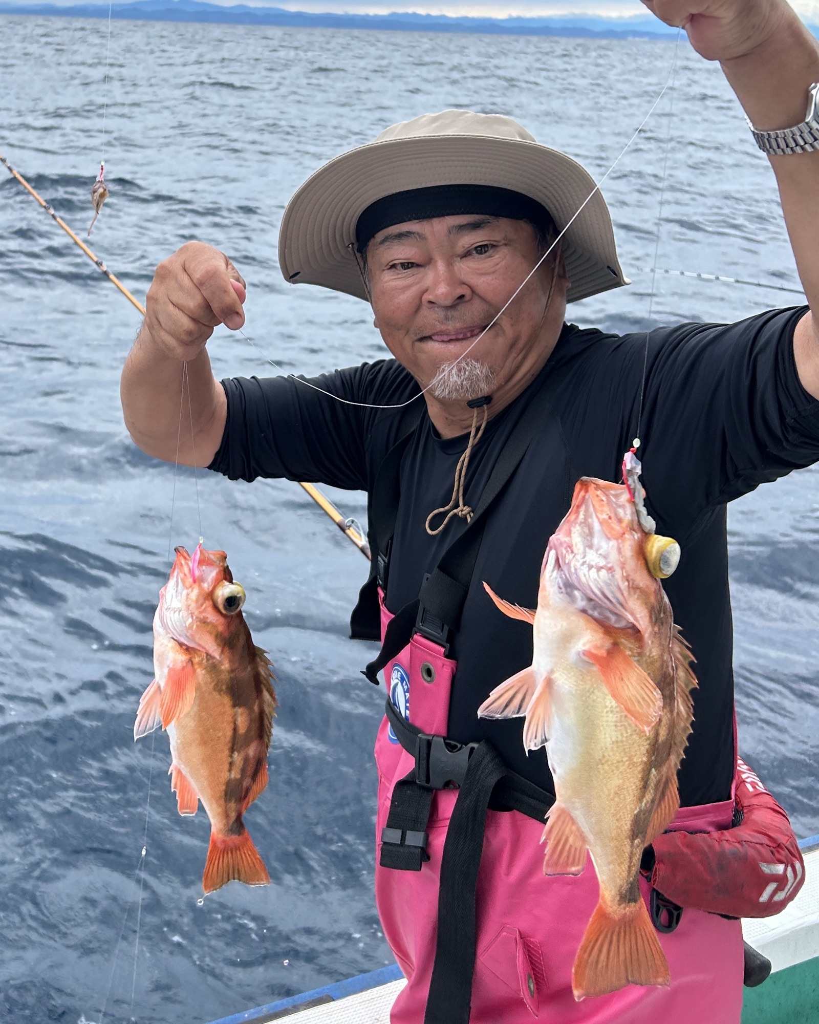 ハチメ釣り