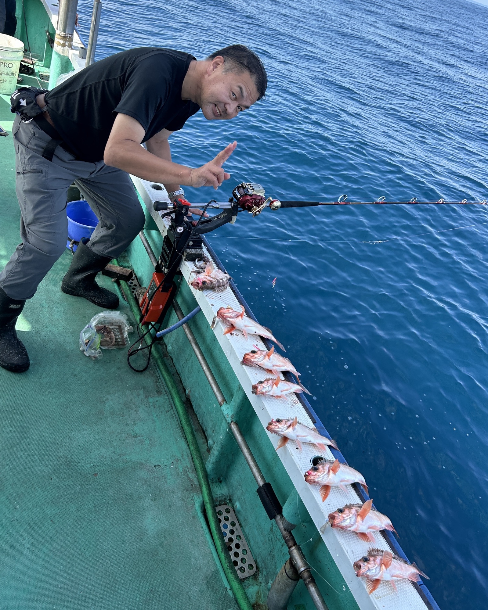 ハチメ釣り