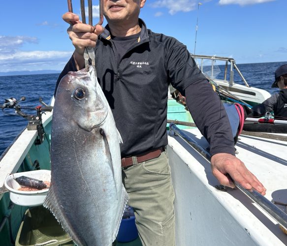 ハチメ、メダイロング便