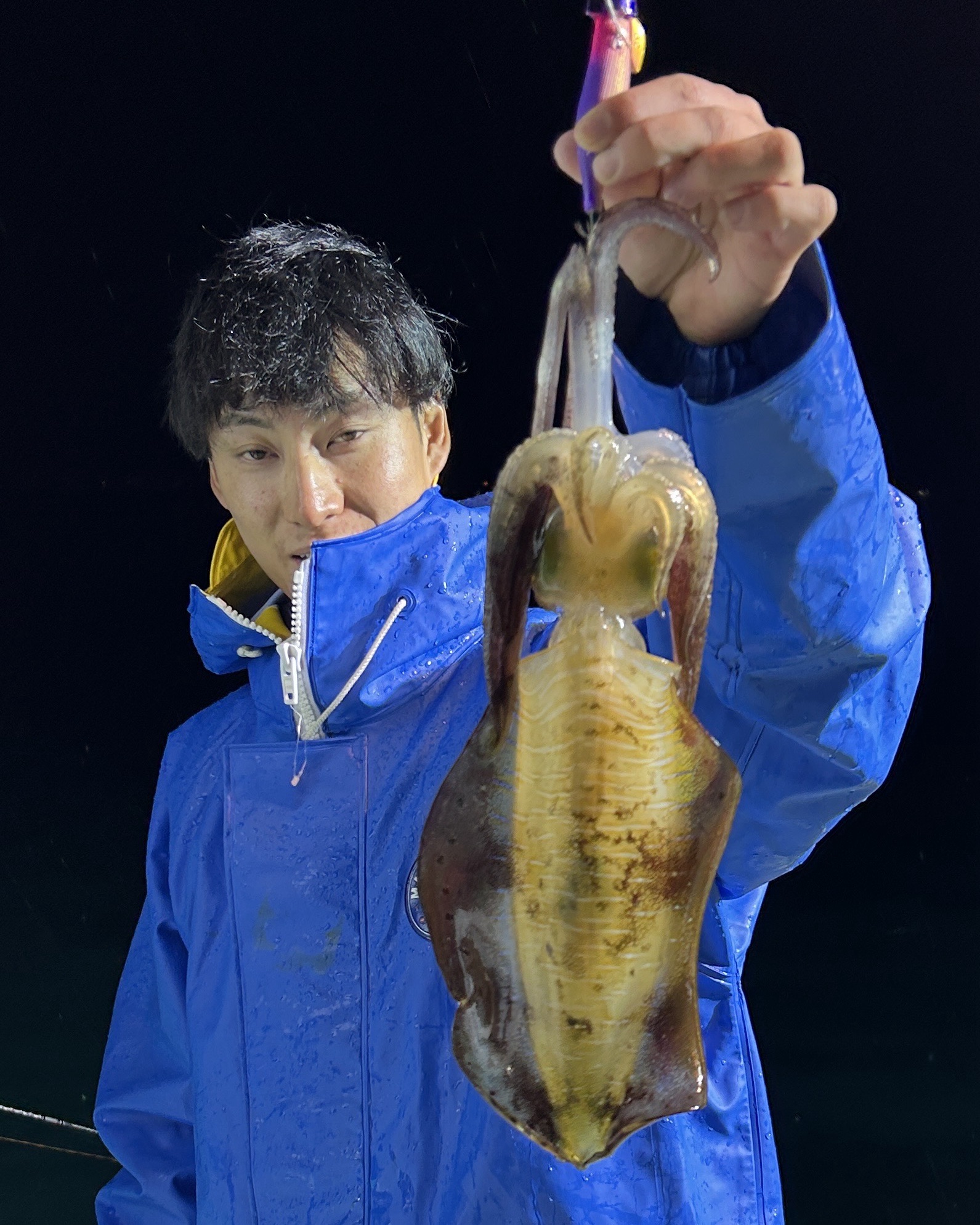 ハチメ、メダイ、アオリイカ