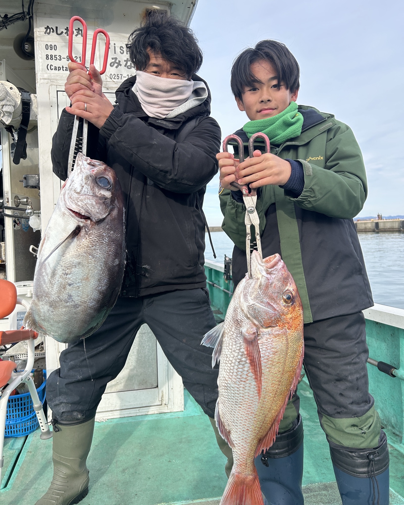 メダイ、電気ブリ