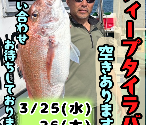 募集中❗️