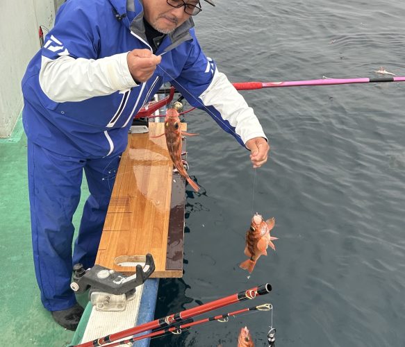 ハチメ釣り