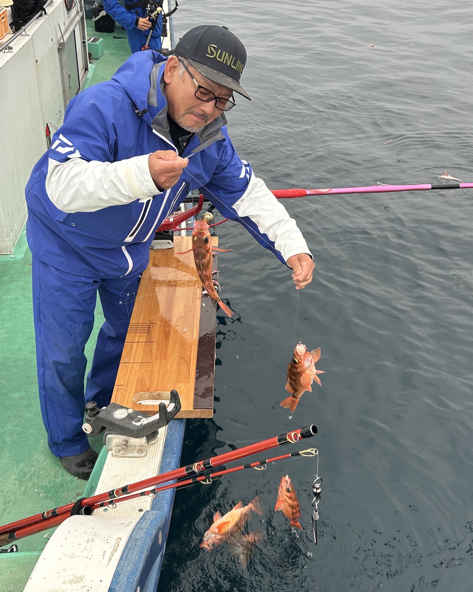 ハチメ釣り