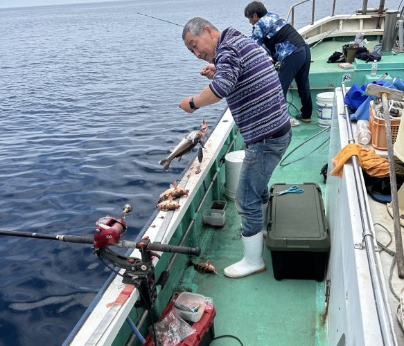 ハチメ釣り