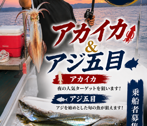 アカイカ・アジ募集中！