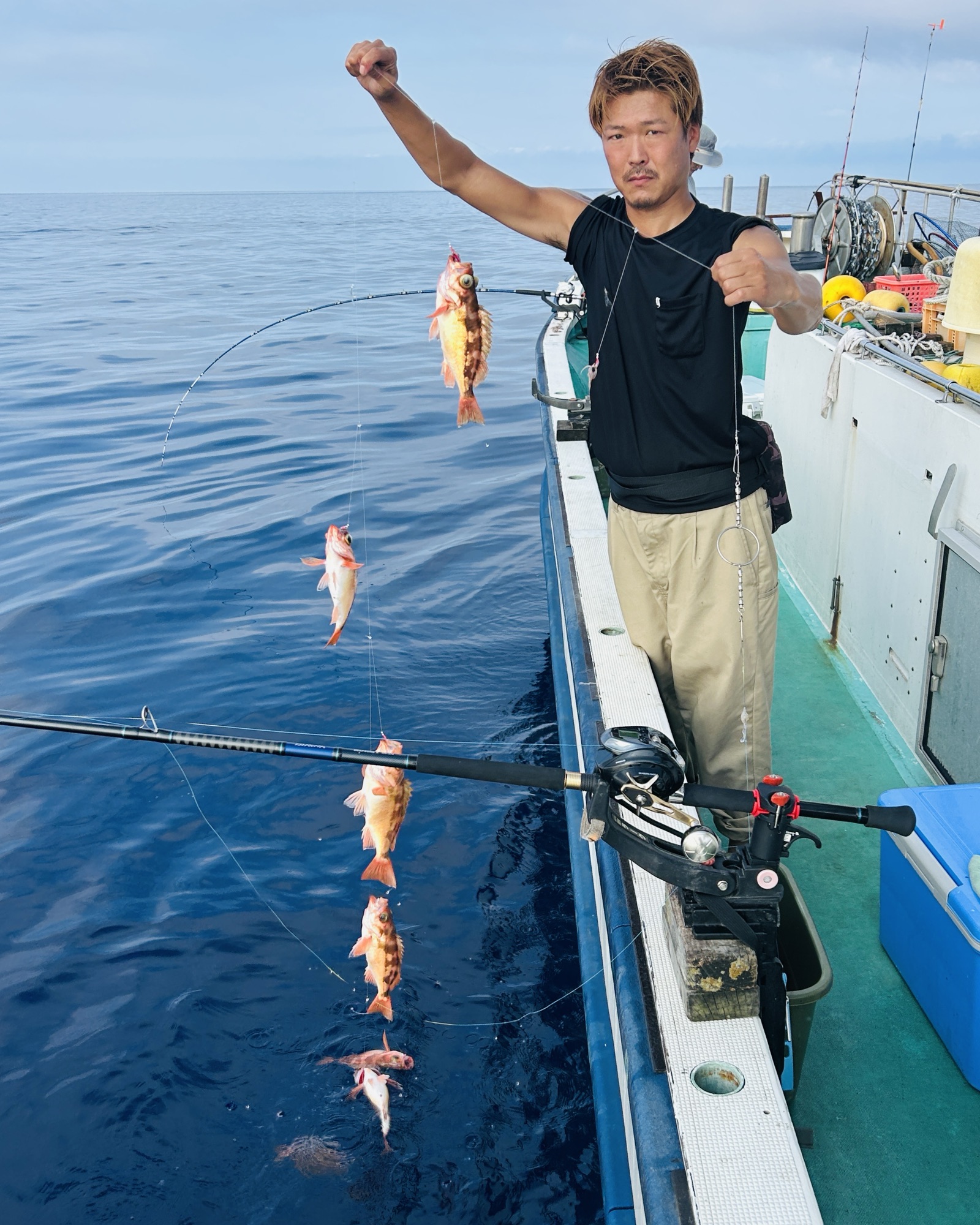 ハチメ釣り