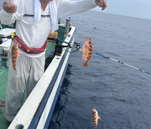 ハチメ釣り