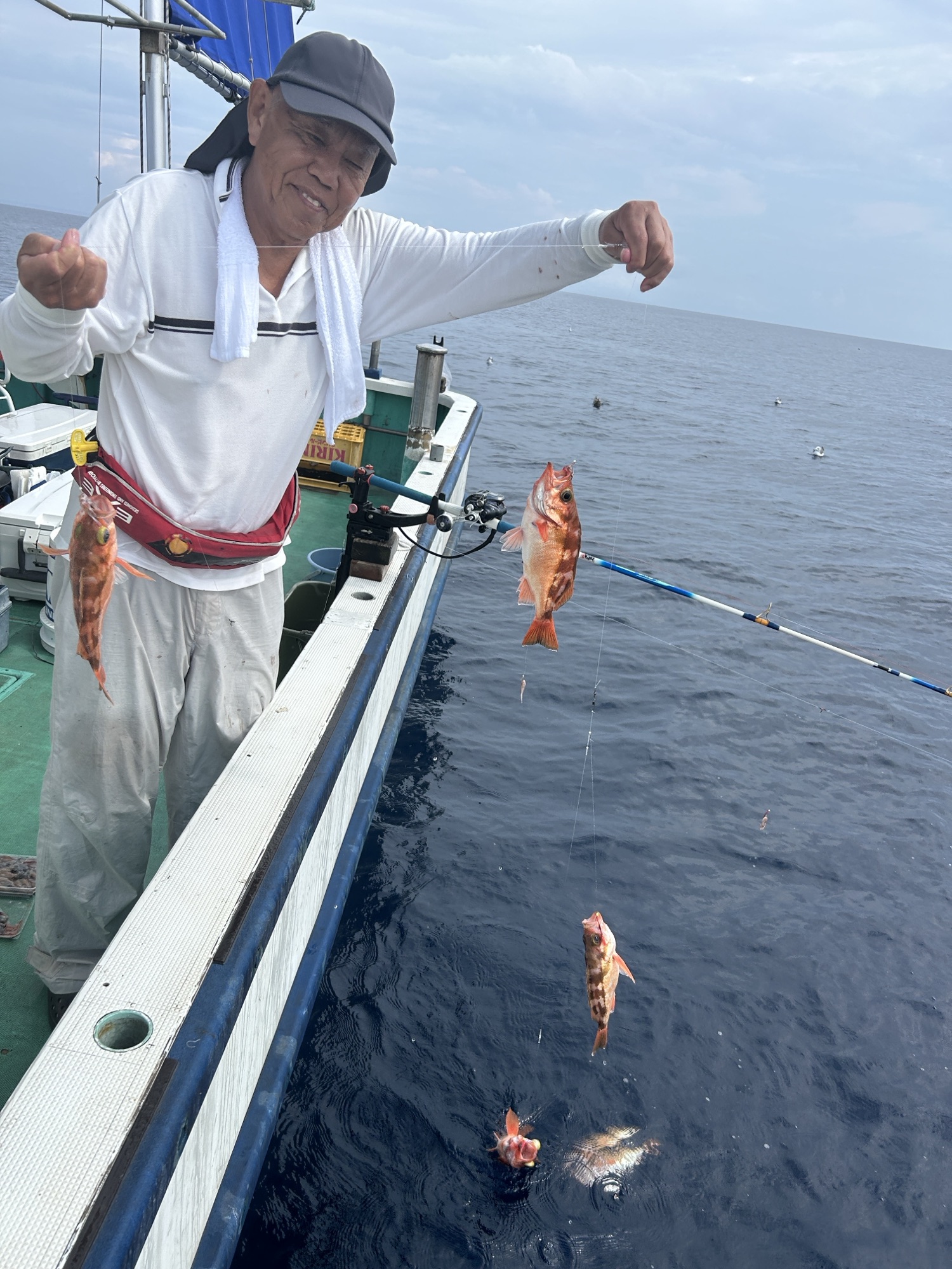 ハチメ釣り