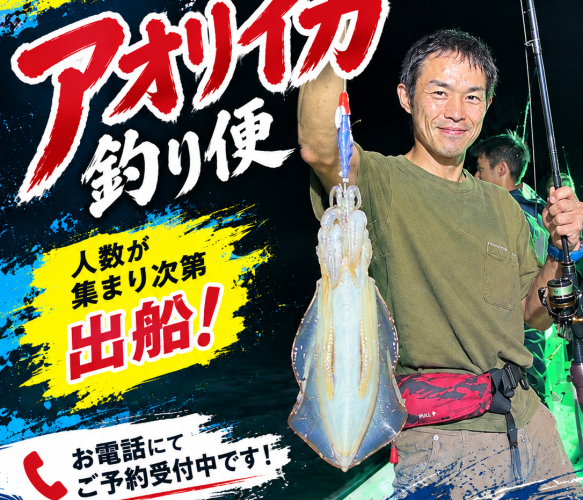 アカイカ募集中！