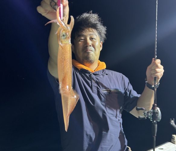アカイカ・アオリイカ
