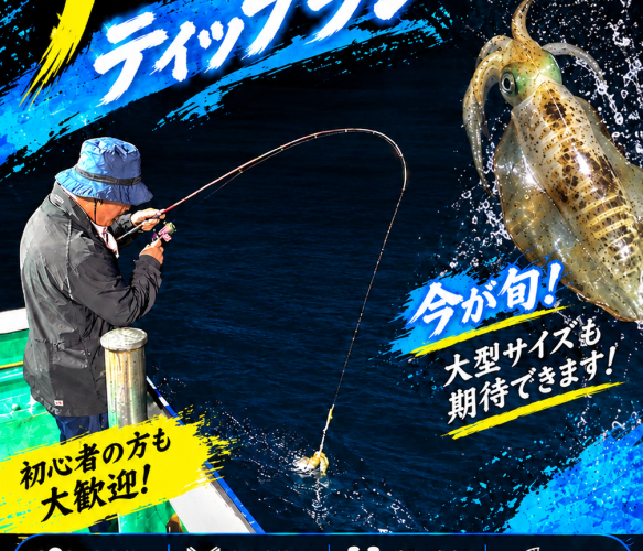アオリイカティップラン