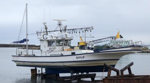 cropped-IMG_6812.jpg